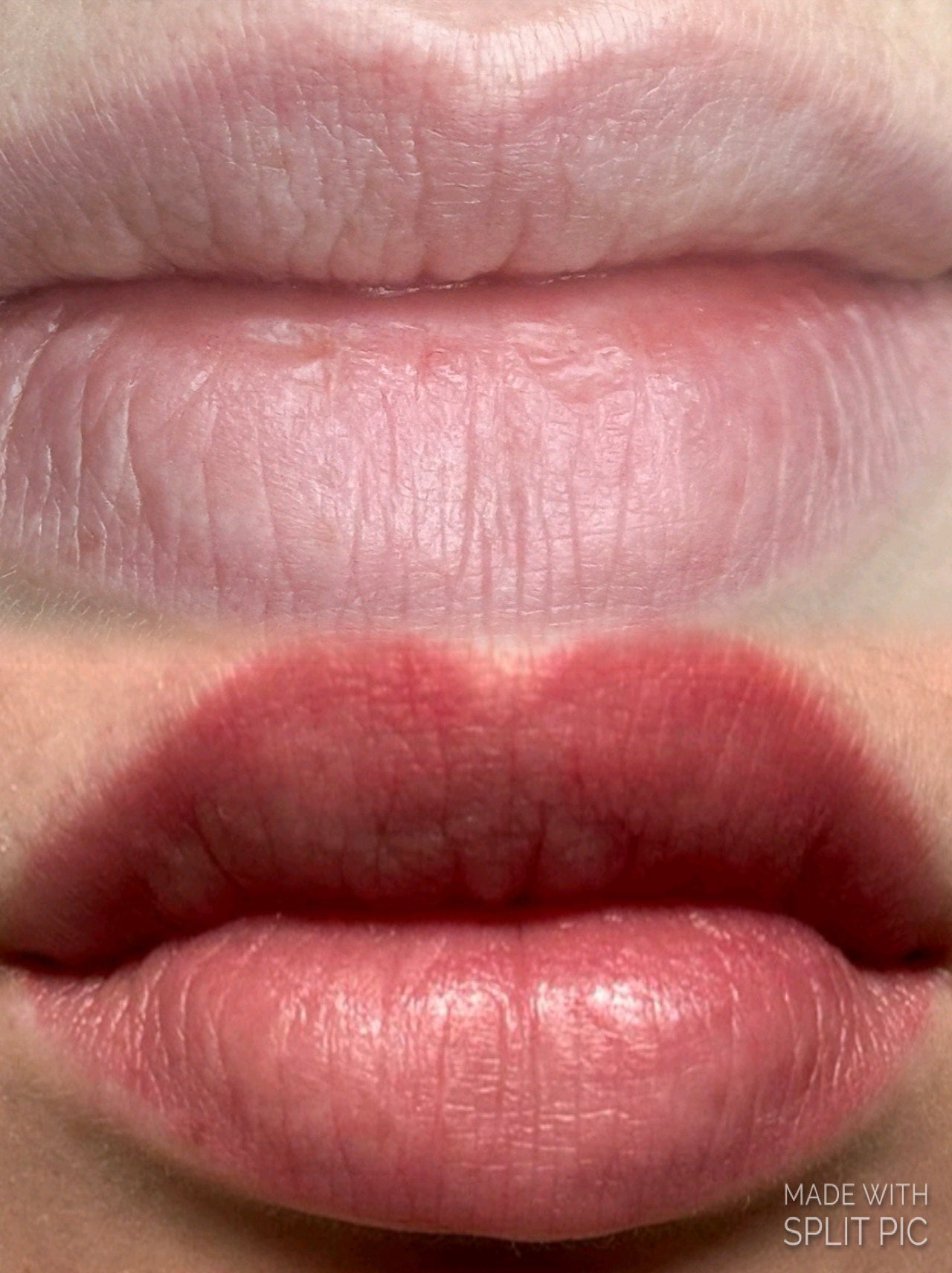 PMU Lip Pigments &  PMU Lip Kits
